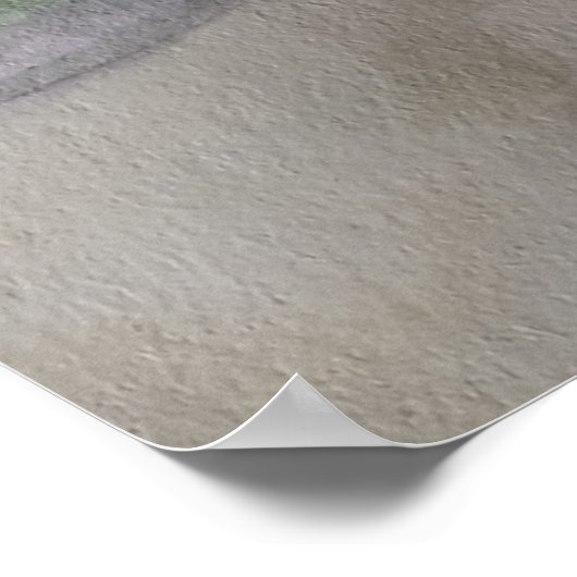 Blume auf dem Windows Poster (Ecke)