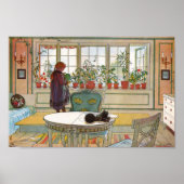 Blume auf dem Windows Poster (Vorne)