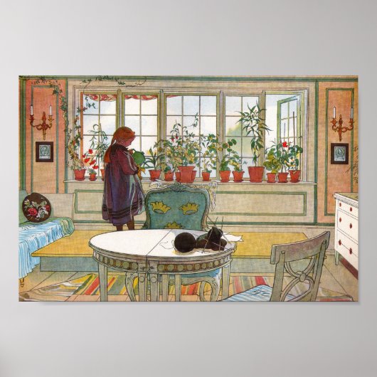 Blume auf dem Windows Poster (Vorne)