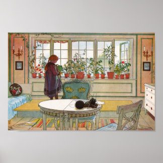 Blume auf dem Windows Poster