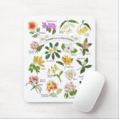 Blume auf den Philippinen Mousepad (Mit Mouse)
