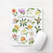 Blume auf den Philippinen Mousepad (Mit Mouse)