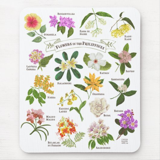 Blume auf den Philippinen Mousepad (Vorne)