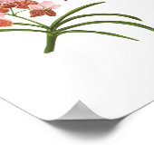 Blume auf den Philippinen Poster (Ecke)