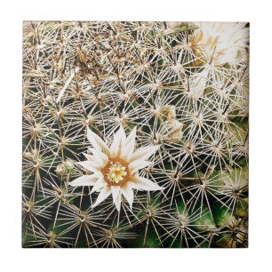 Blume auf einem Kaktus Fliese