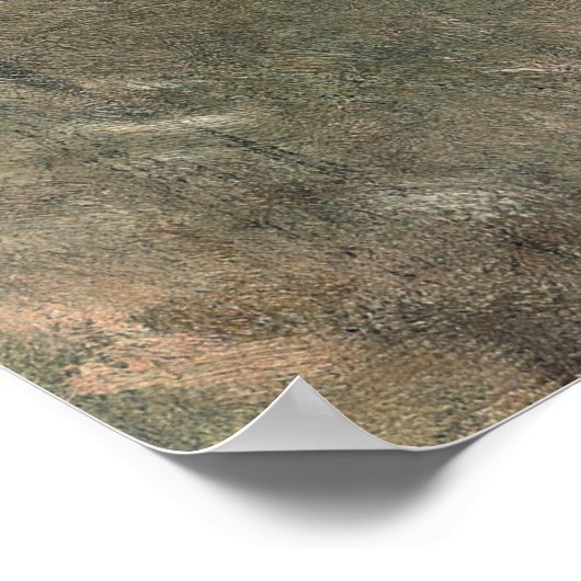 Blume auf einer Window Ledge (um 1861), John La Fa Poster (Ecke)