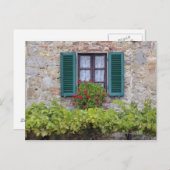 Blume auf Fenster Postkarte (Vorne/Hinten)