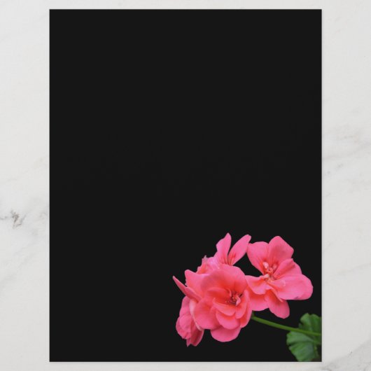 Blume auf schwarzem Hintergrund Flyer (Vorne)