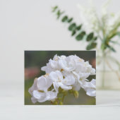 Blume auf Teneriffa Postkarte (Stehend Vorderseite)