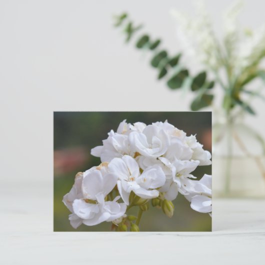 Blume auf Teneriffa Postkarte (Stehend Vorderseite)