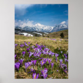 Blume auf Velika Planina, Sl Poster (Vorne)