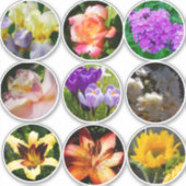 Blume Aufkleber (Vorderseite)