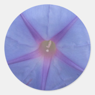 Blume-Aufkleber der Morgenglorie Runder Aufkleber