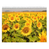 Blume aus aller Welt Kalender (Titelbild)