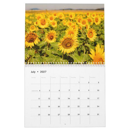 Blume aus aller Welt Kalender (Jul 2027)
