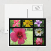 Blume aus Costa Rica Postkarte (Vorne/Hinten)