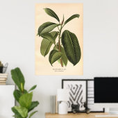 Blume aus dem 19. Jahrhundert Poster (Heimbüro)