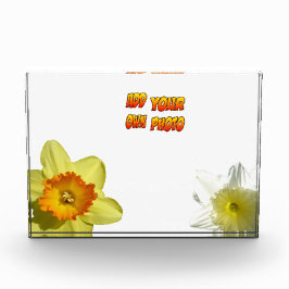 Blume aus Edelmetall krusten. Fotoblock