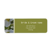 Blume aus frischen, weißen Gärten tragen den Namen (Vorne)