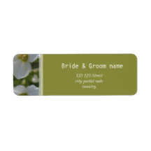 Blume aus frischen, weißen Gärten tragen den Namen