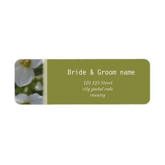 Blume aus frischen, weißen Gärten tragen den Namen (Vorne)