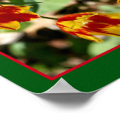 Blume aus gebärfähigem Rot und Gelb Poster (Ecke)