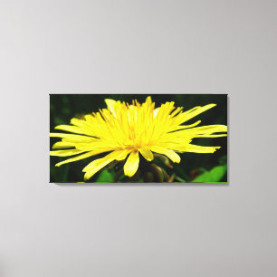 Blume aus gelbem Löwenzahn nah. Blumenschuss Leinwanddruck