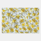 Blume aus gelben und weißen Frangipani, Geschenkpapier Set (Vorderseite 2)