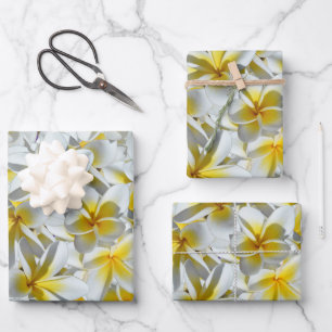 Blume aus gelben und weißen Frangipani, Geschenkpapier Set