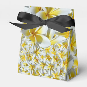 Blume aus gelben und weißen Frangipani, Geschenkschachtel