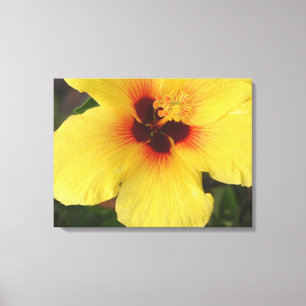 Blume aus hawaiianischem Hibiskus Leinwanddruck