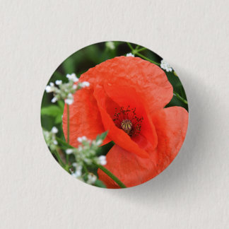 Blume aus Mohn in grüner Vegetation Button