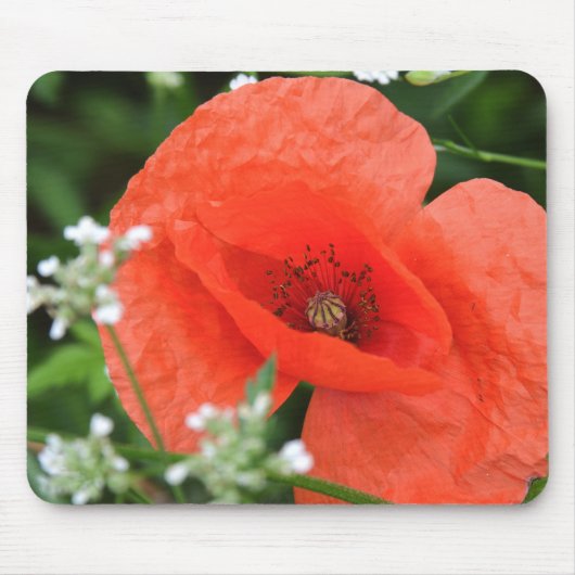 Blume aus Mohn in grüner Vegetation Mousepad (Vorne)