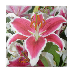 Blume aus rosa Sterngazer Fliese
