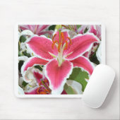 Blume aus rosa Sterngazer Mousepad (Mit Mouse)