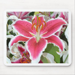 Blume aus rosa Sterngazer Mousepad