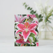 Blume aus rosa Sterngazer Postkarte (Stehend Vorderseite)