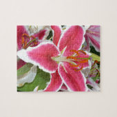 Blume aus rosa Sterngazer Puzzle (Horizontal)