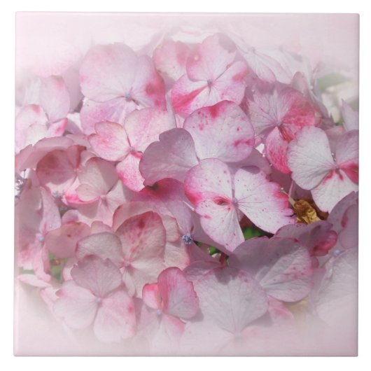 Blume aus rosa und dunkelrosa Hydrangea Fliese (Vorderseite)