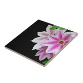 Blume aus Rosa und Weiß Fliese (Seite)