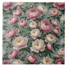 Blume aus rosa und weißem Peony
