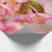 Blume aus rosafarbenem Sakura auf Rosa Geschenkpapier (Ecke)