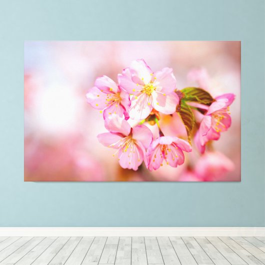 Blume aus rosafarbenem Sakura auf Rosa Leinwanddruck (Insitu (Holzboden))
