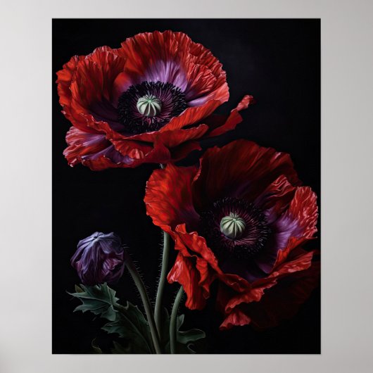 Blume aus Rot-Orientalisch Mohnblumen Poster (Vorne)