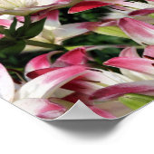 Blume aus Roter und Weiße Lilie Poster (Ecke)