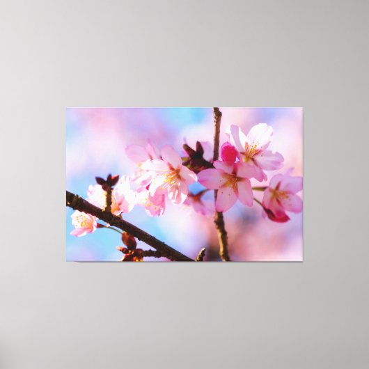 Blume aus Sakura im Schatten eines Baumes Leinwanddruck (Vorderseite)