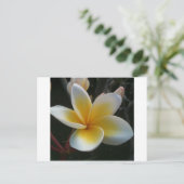 Blume aus Thailand Postkarte (Stehend Vorderseite)
