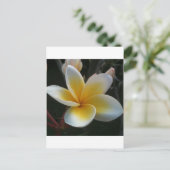 Blume aus Thailand Postkarte (Stehend Vorderseite)