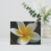 Blume aus Thailand Postkarte (Stehend Vorderseite)