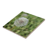 Blume aus weißem Löwenzahn auf grünem Gras Fliese (Seite)